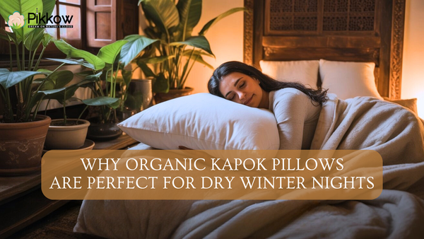 Why Organic Kapok Pillows Are Perfect for Dry Winter Nights